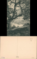 Ansichtskarte Eutin Schloss Schlossgarten Partie 1910 - Autres & Non Classés