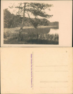 Ansichtskarte  Waldsee (vermutlich Berlin Umland) 1934 - Unclassified