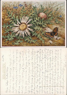Ansichtskarte  Künstlerkarte Blumenwiese Schmetterling 1928 - Paintings