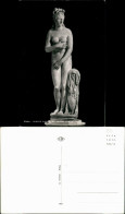 Cartoline Rom Roma VENERE CAPITOLINA (MUSEO CAPITOLINO 1962 - Autres & Non Classés