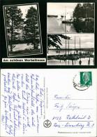 Ansichtskarte Schorfheide 3 Bild: Segelboote 1969 - Other & Unclassified