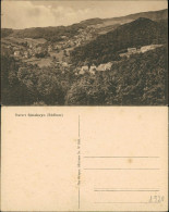 Ansichtskarte Sülzhayn-Ellrich Panorama, Ansicht, Berg 1920 - Other & Unclassified