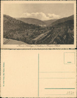 Foto Sülzhayn-Ellrich Umland-Ansicht, Kurort, Kremserblick 1920 Foto - Autres & Non Classés