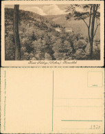 Ansichtskarte Sülzhayn-Ellrich Panorama-Ansicht, Kurort Sülzhayn 1920 - Other & Unclassified