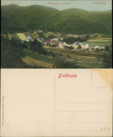 Ansichtskarte Sülzhayn-Ellrich Dorfeingang Panorama 1910 - Sonstige & Ohne Zuordnung