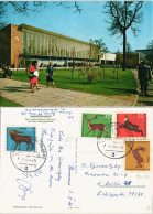 Ansichtskarte Hannover Messegelände Internationales Zentrum 1965 - Hannover