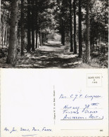 Postkaart Chaam Omgeving Putven Ortsansicht Mit Waldweg 1960 - Other & Unclassified