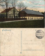 Ansichtskarte Schöneck (Vogtland) Partie Am Tannenhaus 1910 - Other & Unclassified