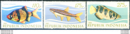 Fauna. Pesci 1983. - Indonésie