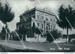 Bn540 Cartolina Pineto Villa Padula Provincia Di Teramo - Teramo