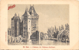 18-CHATEAUMEILLANT-LE CHÂTEAU-N°360-E/0201 - Châteaumeillant