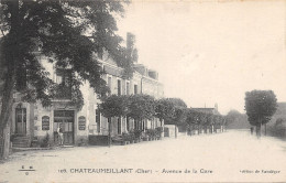18-CHATEAUMEILLANT-N°360-E/0197 - Châteaumeillant