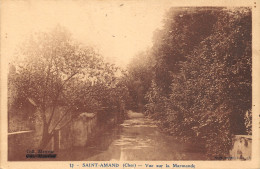 18-SAINT AMAND MONTROND-N°360-F/0021 - Saint-Amand-Montrond