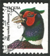XW01-0436 USA Oiseau Bird Vogel Uccello Faisan Collier Ring-necked Pheasant Côté Carnet Booklet Side - Gallináceos & Faisanes