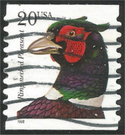 XW01-0435 USA Oiseau Bird Vogel Uccello Faisan Collier Ring-necked Pheasant Coil Roulette - Autres & Non Classés