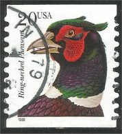 XW01-0434 USA Oiseau Bird Vogel Uccello Faisan Collier Ring-necked Pheasant Coil Roulette - Galline & Gallinaceo