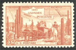 XW01-0344 USA Gadsden Purchase Cactus Cactii Cheval Horse Vache Coe Kuh Pferd Boeuf Ox No Gum - Other & Unclassified