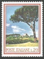 XW01-0311 Italy Arbre Tree Baum Umbrella Pine Pin Parasol MH * Neuf - Bomen