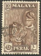 XW01-0262 Malaya Perak Tigre Tiger - Roofkatten