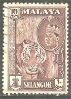 XW01-0260 Malaya Selangor Tigre Tiger - Felinos