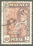 XW01-0261 Malaya Perak Tigre Tiger - Felinos