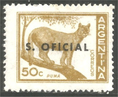 XW01-0059 Puma Feline Félin MH * Neuf - Félins