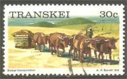 XW01-0979 Transkei Sledge Transportation Transport Traineau Vache Cow Beef Kuh Boeuf Vacca - Andere (Aarde)