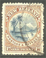 XW01-0986 New Zealand 1898 Lake Taupo Palm Tree Cocotier - Árboles