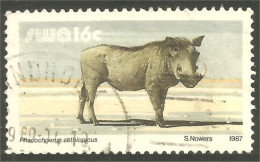 XW01-0973 SWA Phacochère Warthog Jabali Warzenschwein Facocero - Sonstige & Ohne Zuordnung