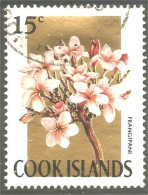 XW01-0946 Cook Islands Fleur Flower Blume Arbre Tree Baum Frangipani Frangipane - Arbres