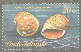 XW01-0948 Cook Islands Coquillage Shellfish Mariscos Schaltier Crostacei - Coquillages