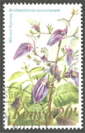 XW01-0911 Kenya 20 Sh Fleur Nyanza Flower Blume - Otros & Sin Clasificación