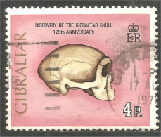 XW01-0901 Gibraltar Skull Crâne Squelette Archéologie Archeology Skeleton - Arqueología