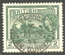 XW01-0872 British Guiana 1954 2c Botanical Gardens Jardin Botanique - Andere & Zonder Classificatie