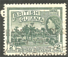 XW01-0871 British Guiana 1954 2c Botanical Gardens Jardin Botanique - Guyana Britannica (...-1966)