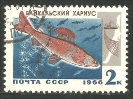 XW01-0790 Russie Poisson Fish Fisch - Vissen