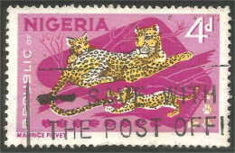 XW01-0777 Nigeria Leopard Léopard Lepard Lepardo  - Raubkatzen