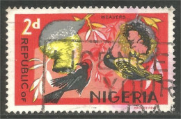 XW01-0774 Nigeria Oiseau Bird Vogel Uccello Weavers Tisserand  - Andere & Zonder Classificatie