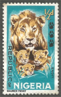 XW01-0764 Nigeria Lion Lionne Lionness Lowe Cub Lionceau Félin Feline Leone  - Big Cats (cats Of Prey)
