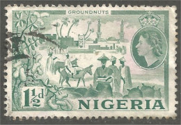 XW01-0737 Nigeria Groundnuts Peanuts Arachides Cacahuètes Alimentation Cheval Horse Pferd Kano City  - Food