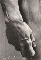 AD525 Michelangelo Buonarroti - Mano Del David - Firenze - Galleria Accademia - Scultura Sculpture - Skulpturen