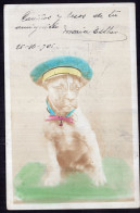 Argentina - 1905 - Dogs - Little Dog With Blue Hat - Chiens