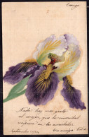Argentina - 1906 - Flowers - Violet Orchid Painting - Fleurs