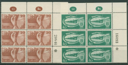 Israel 1950 2 Jahre Unabhängigkeit 30/31 Plattenblock Mit Falz (C40056) - Unused Stamps (without Tabs)
