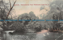 R099766 Ipswich. Christchurch Park Wilderness Pond No. 4. Suitall Series. 1904 - World