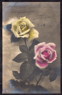 Argentina - 1910 - Flowers - Colorized - Yellow And Pink Roses - Blumen