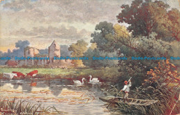 R098682 Surrey. Abbey. Misch And Stocks Nature Miniatures Series No. 219. 1904 - World