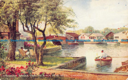 R098684 Wroxham Bridge From The Kings Head Hotel Gardens. Valentines Series. Art - World