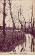 (39). Poligny. Jura. Ed BF Paris. 10 Bas De La Ville. La Glantine Moutons - Poligny