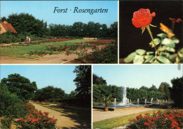 Ansichtskarte Forst (Lausitz) Baršć Rosengarten 1988 - Forst